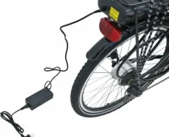 Eldriven Cargobike | Lådcykel för 4 barn | 250W Ananda-motor, LG-batteri & Shimano 6-växlar