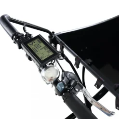 Eldriven cargobike | 250W - 16Ah | 6 växlar | LG-batteri - Pro