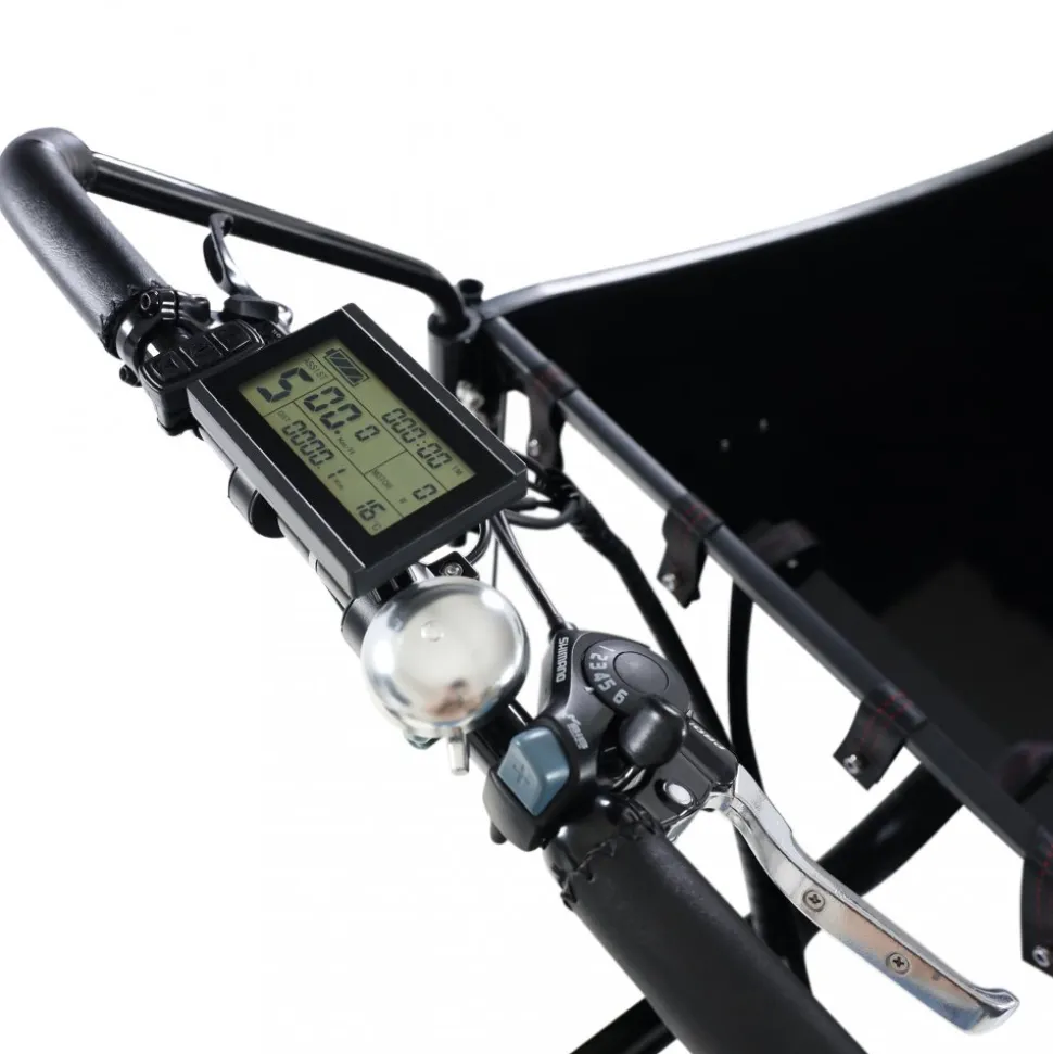 Eldriven cargobike | 250W - 16Ah | 6 växlar | LG-batteri - Pro