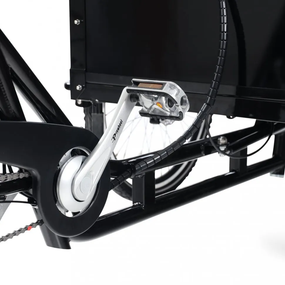 Eldriven cargobike | 250W - 16Ah | 6 växlar | LG-batteri - Pro