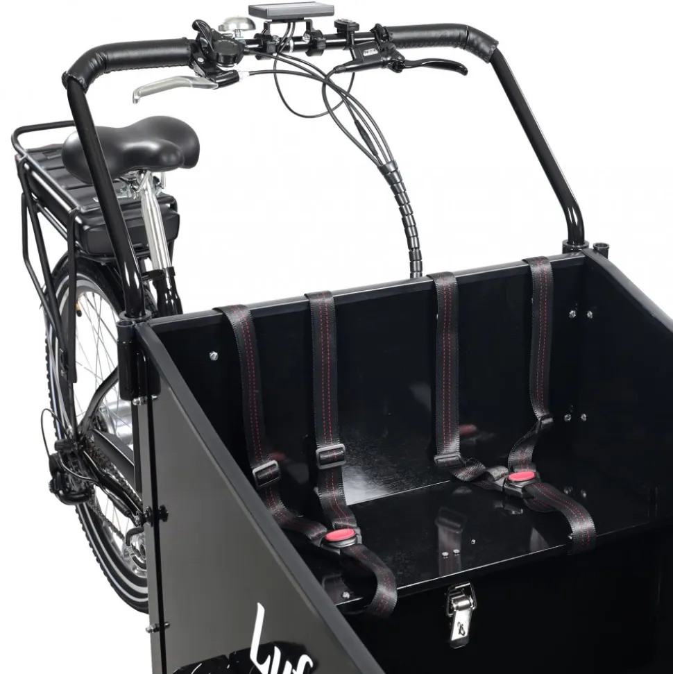 Eldriven cargobike | 250W - 16Ah | 6 växlar | LG-batteri - Pro