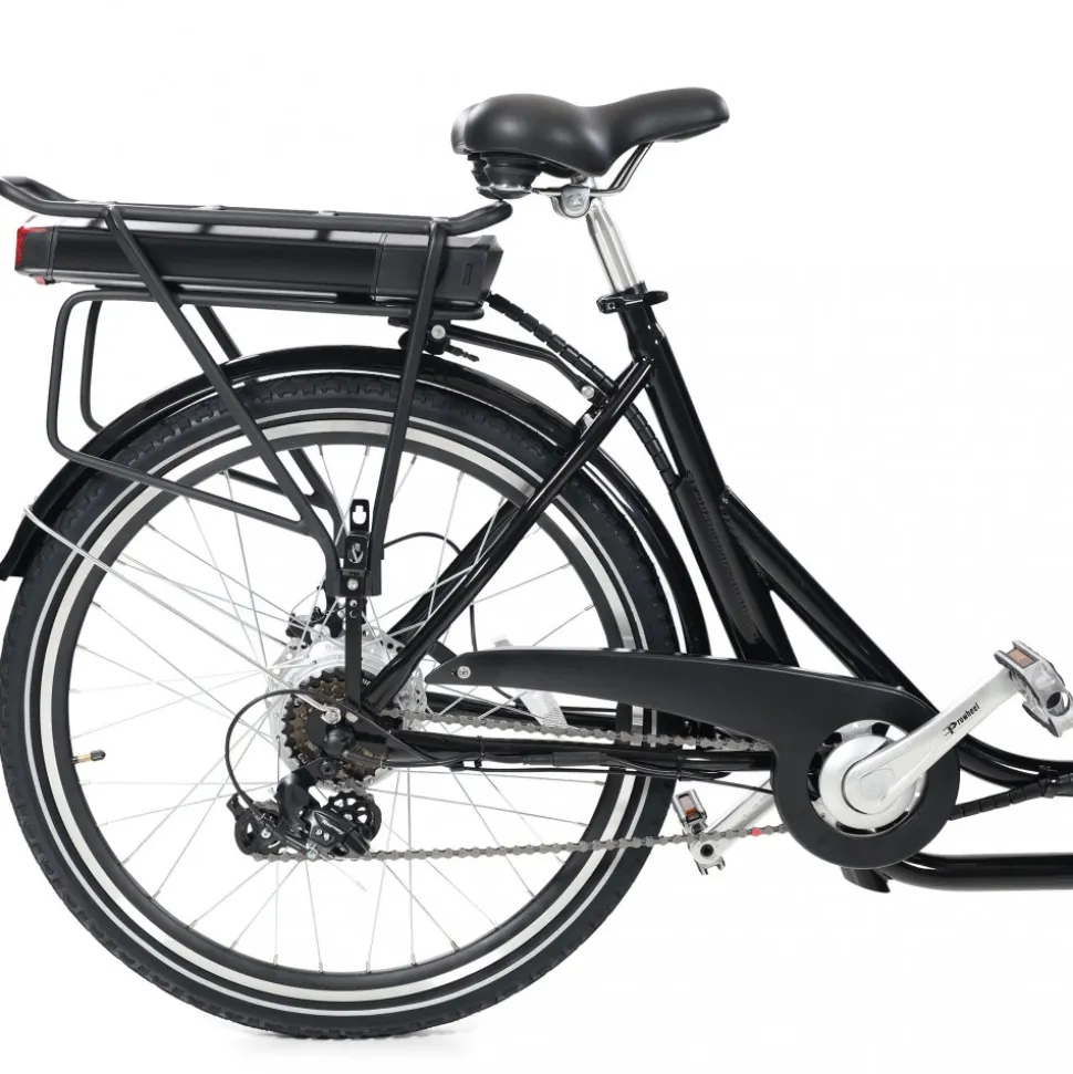 Eldriven cargobike | 250W - 16Ah | 6 växlar | LG-batteri - Pro