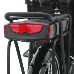 Eldriven cargobike | 250W - 16Ah | 6 växlar | LG-batteri - Pro