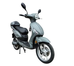 Elmoped 1000 W | Moped klass 1 | Grå
