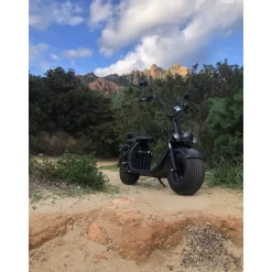 Elscooter 1500W | 60V 12Ah batteri | 45 km/h | Moped klass 1