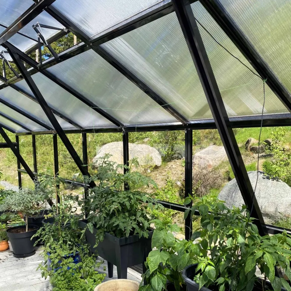 Extra brett premium glasväxthus 21m² | Stormgaranti och säkerhetsglas