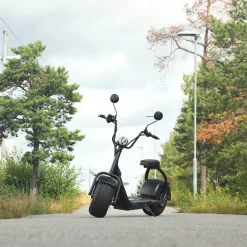 Fatscooter City Chopper 3000W | LG litiumbatteri | Borstlös motor