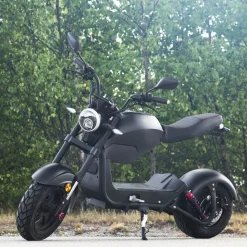 Fatscooter 2000W | Maxhastighet 45 km/tim | Urban Rider