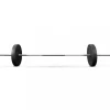 Fria vikter 2x10kg, 25mm | Till hantlar/skivstång