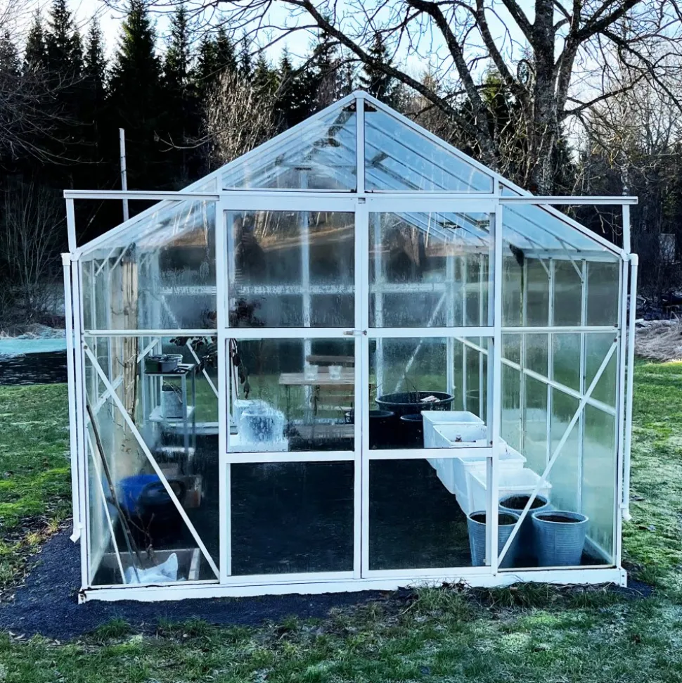 Glasväxthus 11,1m² | 4mm säkerhetsglas | 5 års stormgaranti