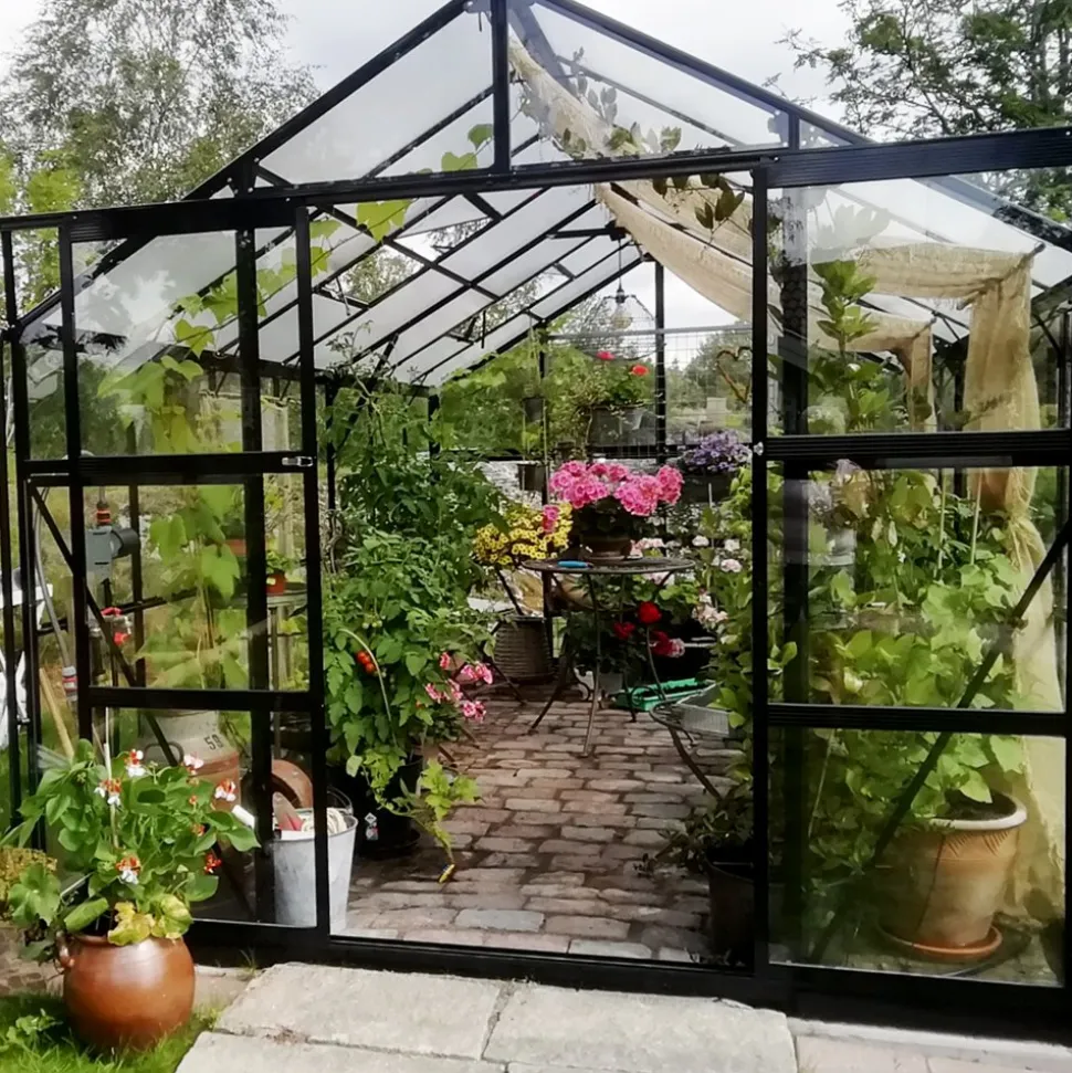 Glasväxthus 11,1m² | 4mm säkerhetsglas | 5 års stormgaranti