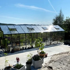 Glasväxthus 19m² | 5 års stormgaranti | 4mm säkerhetsglas