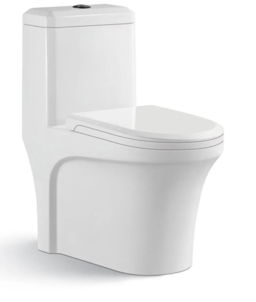 Golvstående toalett | Dubbelspolning | Modern design