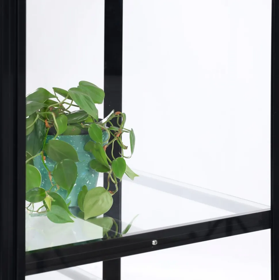 Högt miniväxthus | 4mm säkerhetsglas | Svart