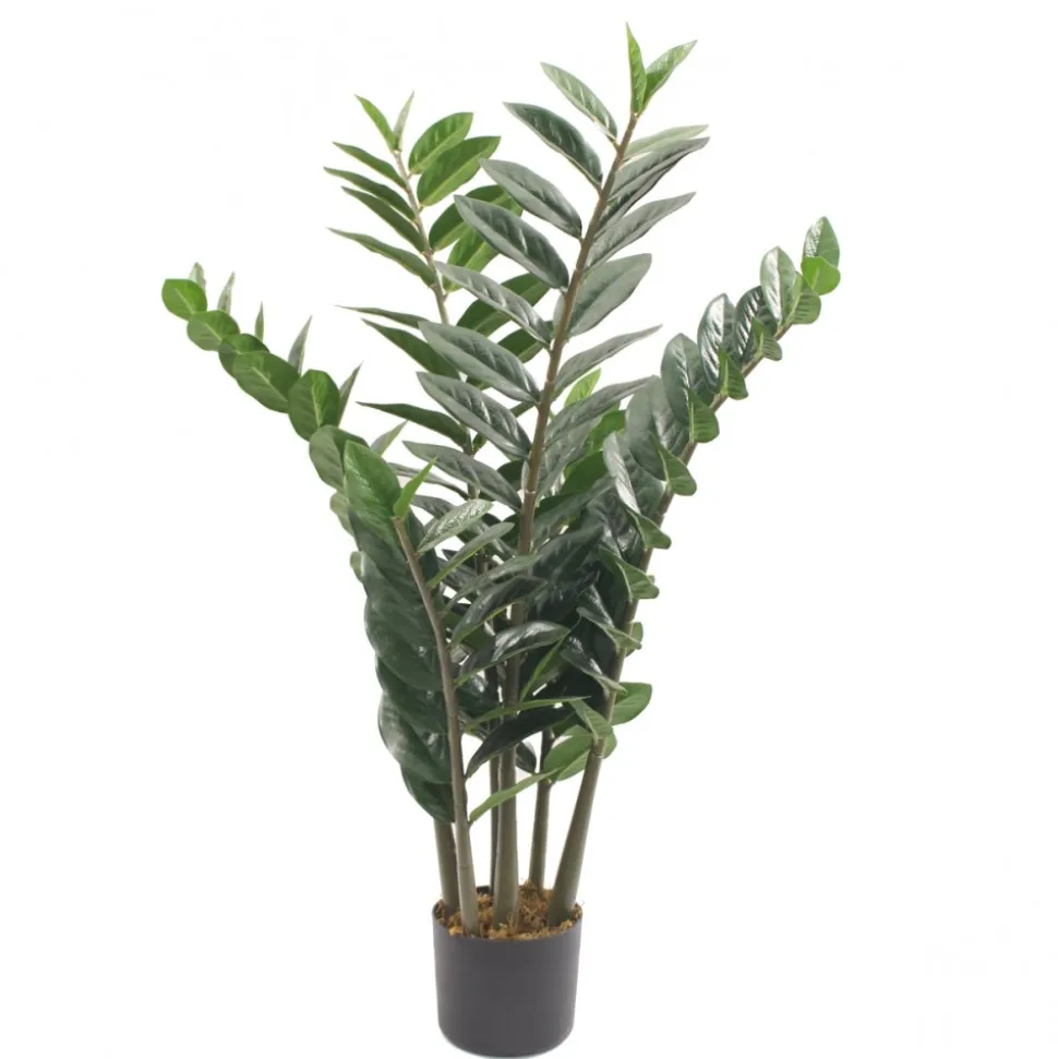Konstväxt zansibar/garderobsblomma | 90 cm
