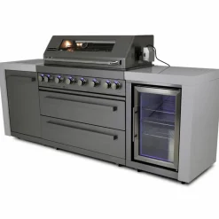 Stor rostfri gasolgrill/utekök | Austin