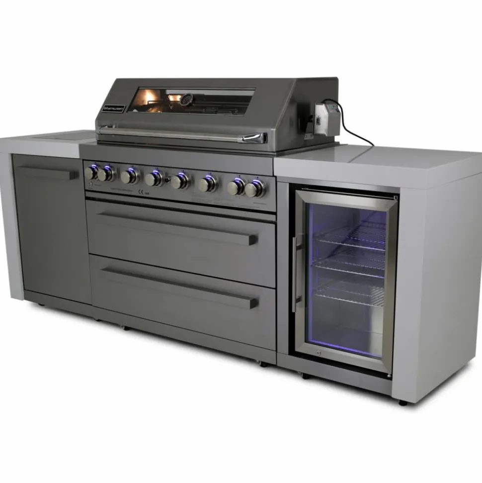 Stor rostfri gasolgrill/utekök | Austin