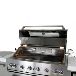 Stor rostfri gasolgrill/utekök | Austin