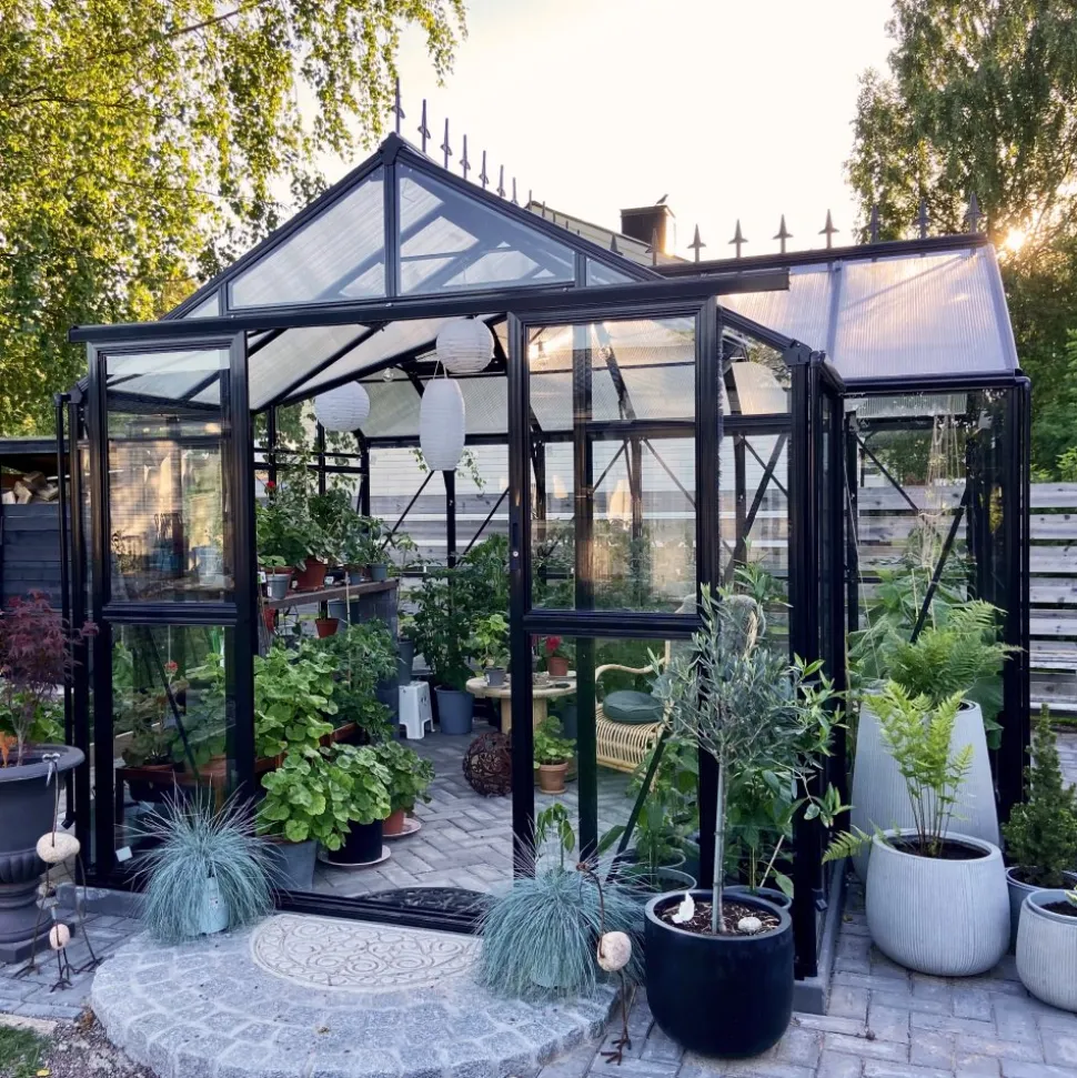 T-format glasväxthus 12,8m² | 4mm säkerhetsglas | 5 års stormgaranti