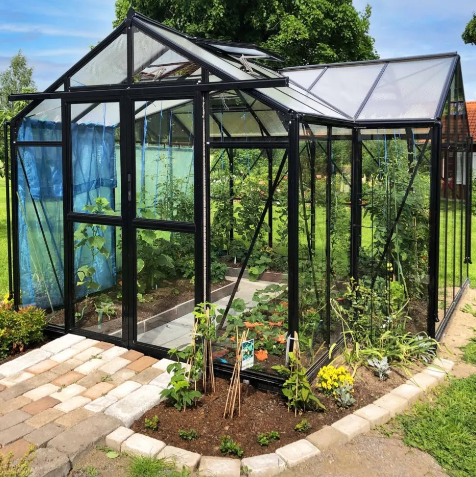 T-format glasväxthus 12,8m² | 4mm säkerhetsglas | 5 års stormgaranti