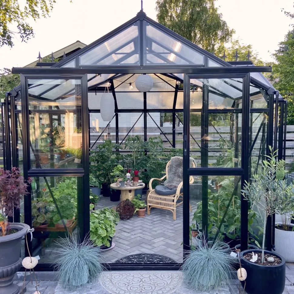 T-format glasväxthus 12,8m² | 4mm säkerhetsglas | 5 års stormgaranti