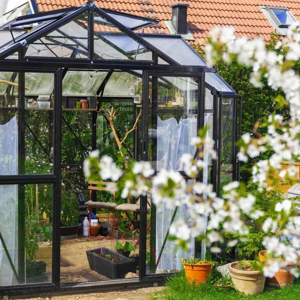 T-format glasväxthus 11,2m² | 4mm säkerhetsglas | 5 års stormgaranti