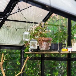T-format glasväxthus 11,2m² | 4mm säkerhetsglas | 5 års stormgaranti