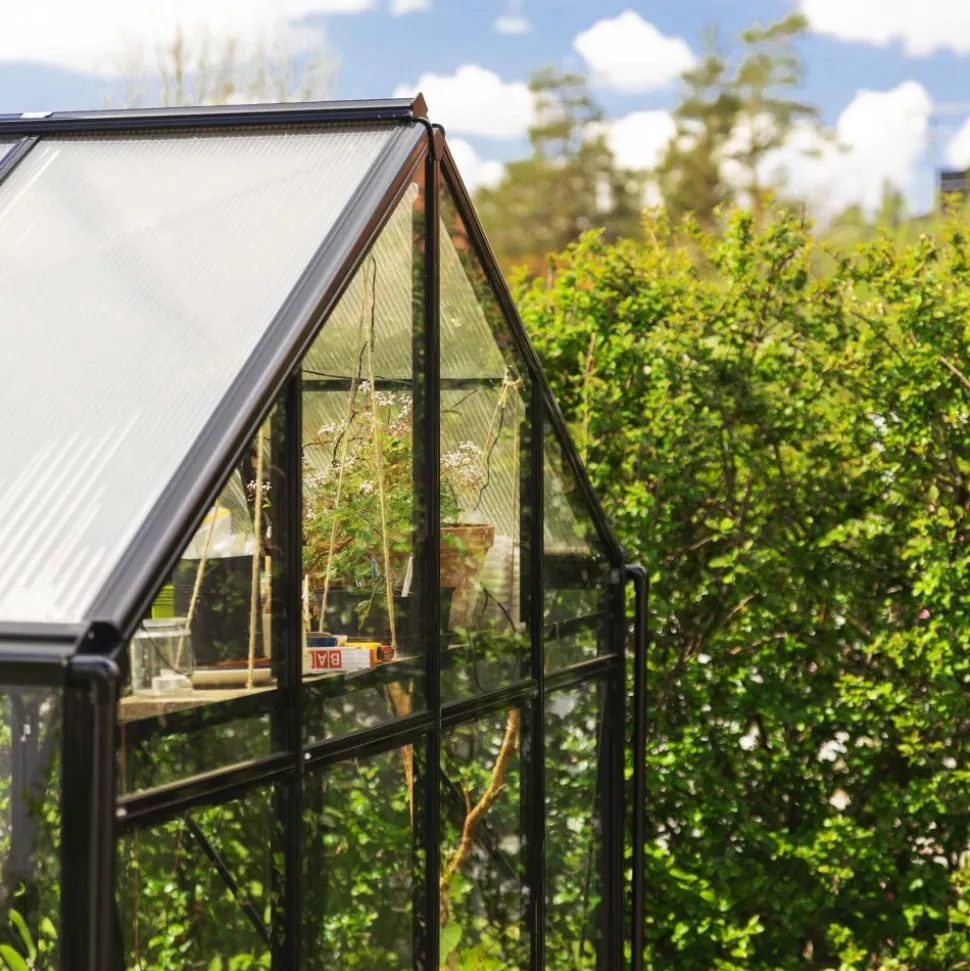 T-format glasväxthus 11,2m² | 4mm säkerhetsglas | 5 års stormgaranti
