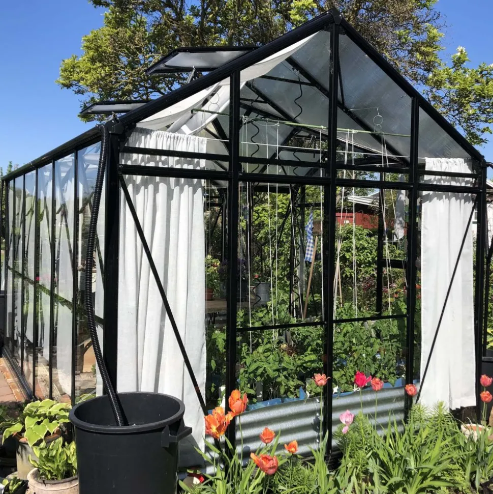 T-format glasväxthus 11,2m² | 4mm säkerhetsglas | 5 års stormgaranti