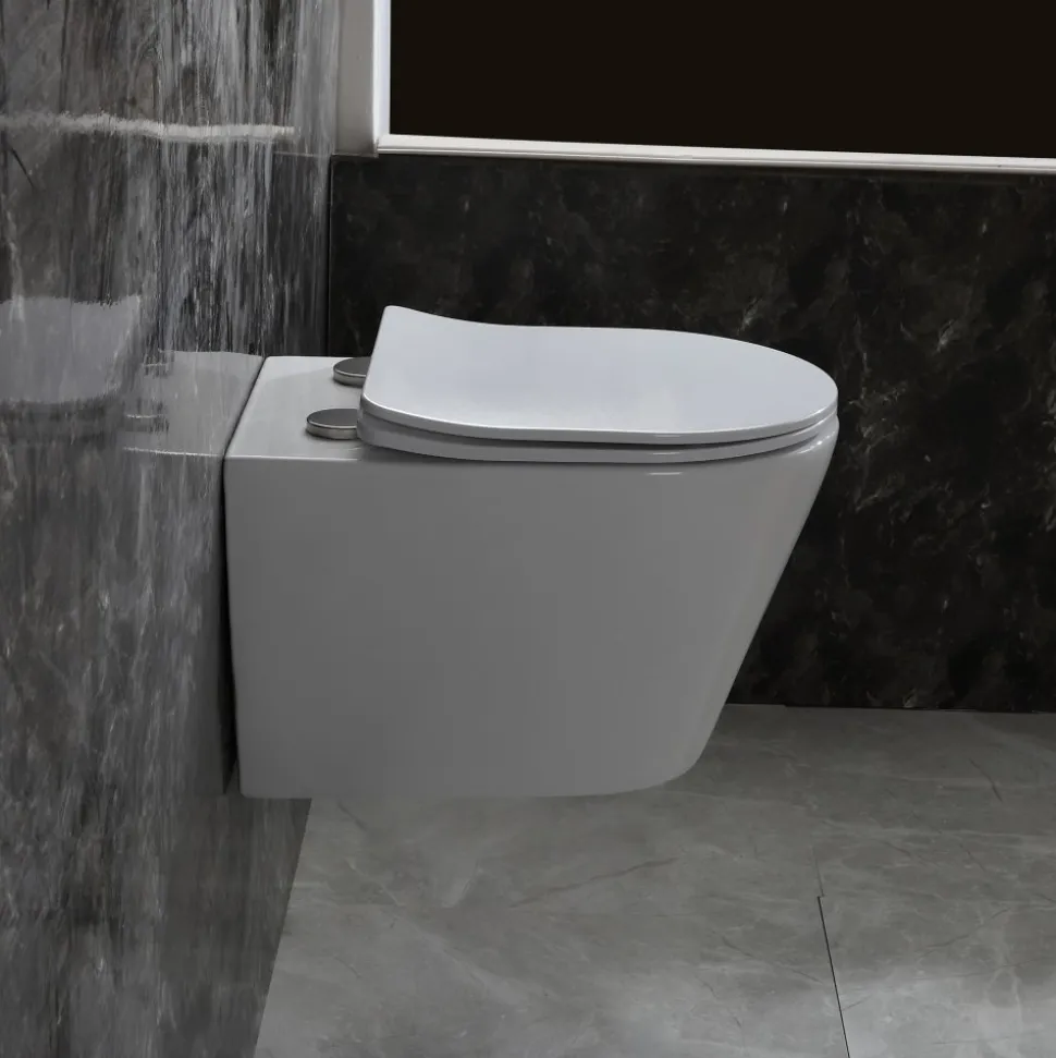 Toalettpaket | Vägghängd toalett 530 & Dold cistern