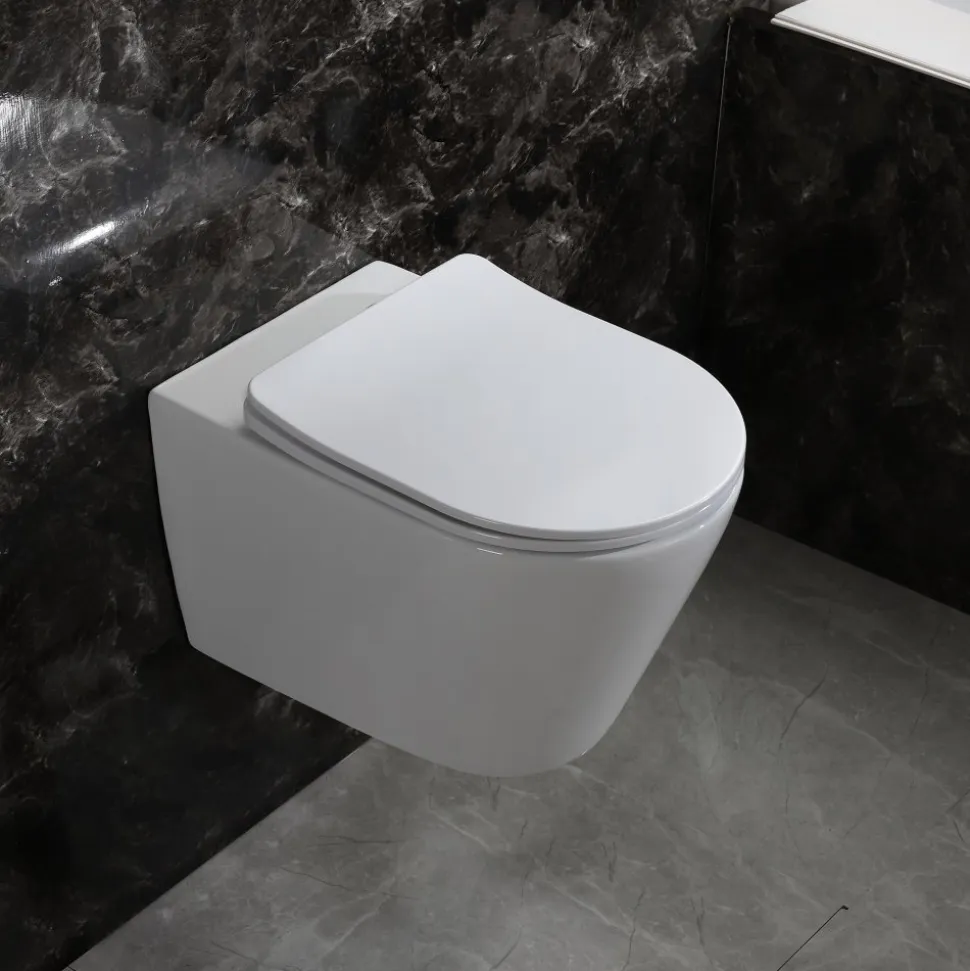Toalettpaket | Vägghängd toalett 530 & Dold cistern