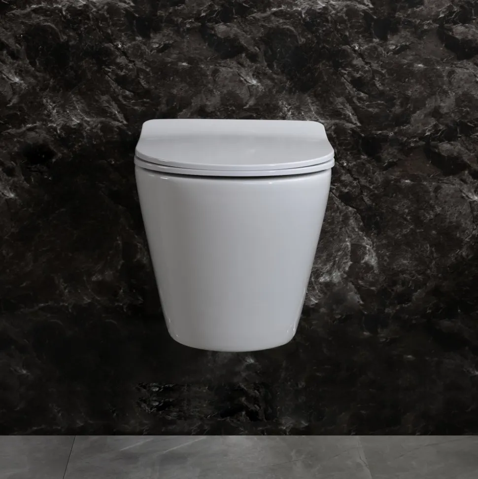 Toalettpaket | Vägghängd toalett 530 & Dold cistern