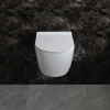 Toalettpaket | Vägghängd toalett 520 & Dold cistern