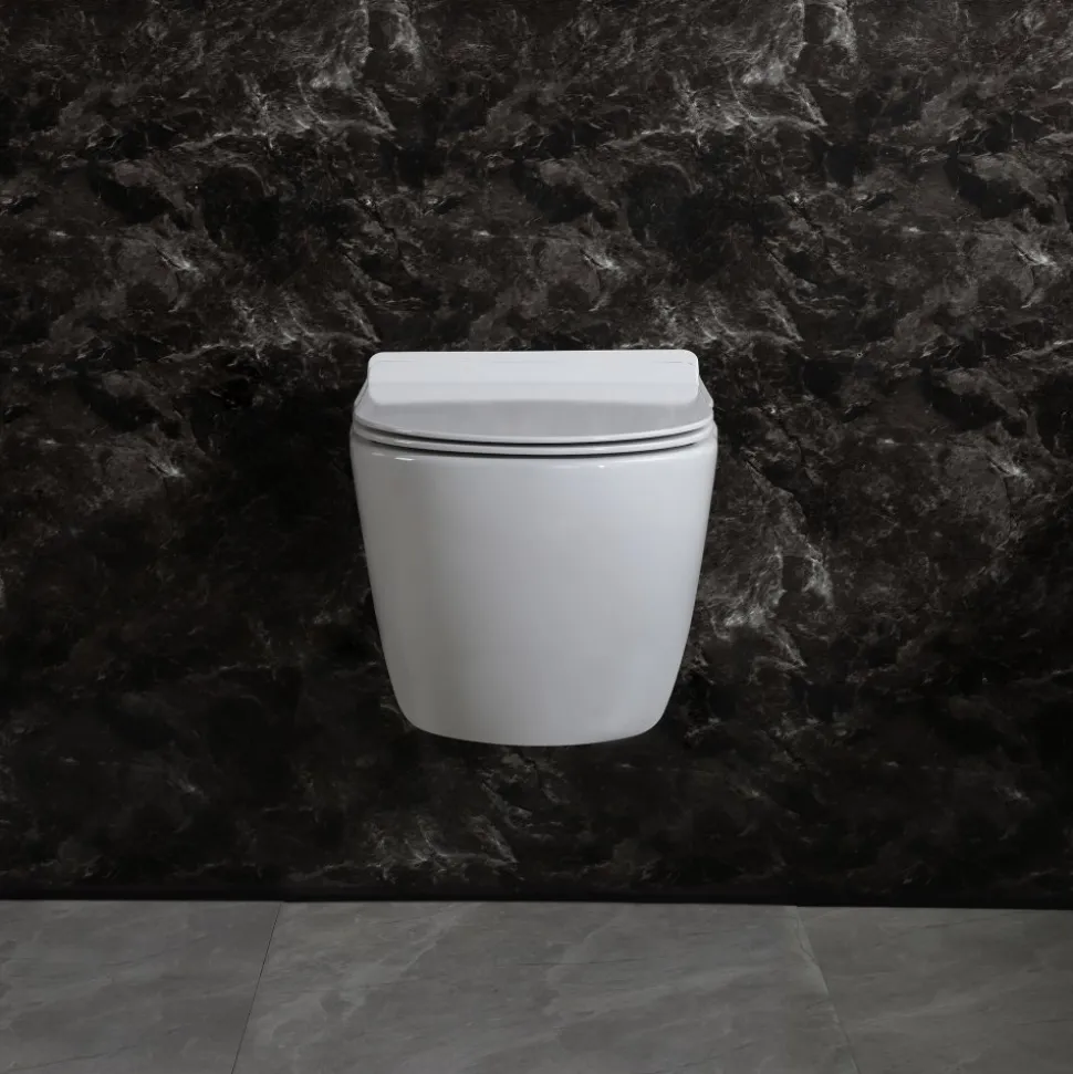 Toalettpaket | Vägghängd toalett 520 & Dold cistern