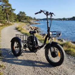 Trehjulig elcykel | Fatbike-däck | 6 växlar Shimano | 250W 13Ah | Svart