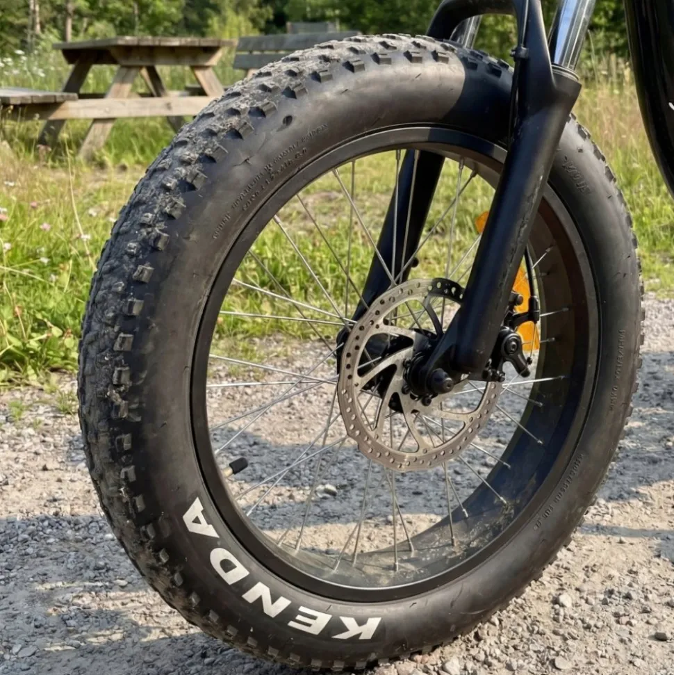 Trehjulig elcykel | Fatbike-däck | 6 växlar Shimano | 250W 13Ah | Svart