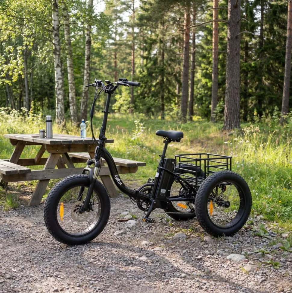 Trehjulig elcykel | Fatbike-däck | 6 växlar Shimano | 250W 13Ah | Svart