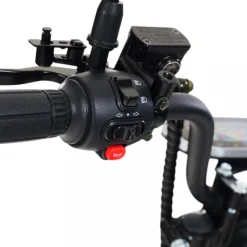 Trehjulig fatscooter 2000W | LG litiumbatteri | Mopedklass 1