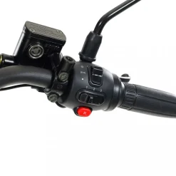 Trehjulig fatscooter 2000W | LG litiumbatteri | Mopedklass 1
