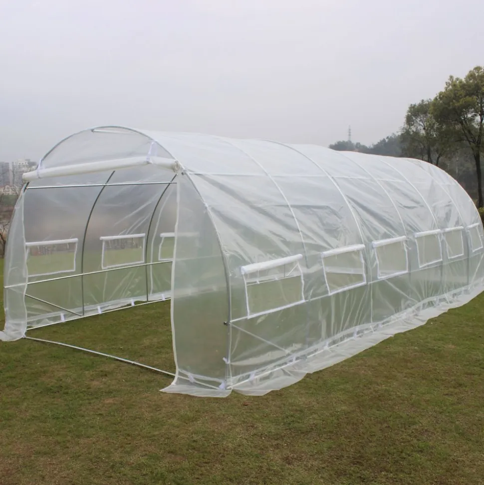 Tunnelväxthus 18m² | Stålram med transparent PE-plastöverdrag