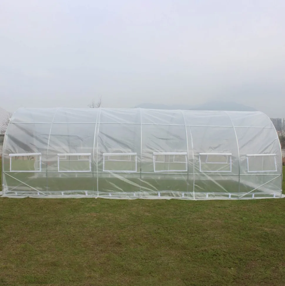 Tunnelväxthus 18m² | Stålram med transparent PE-plastöverdrag