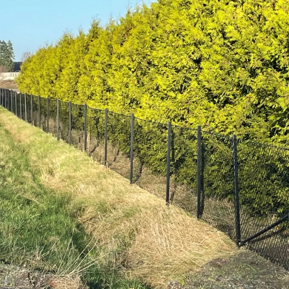 Villastängsel 120cm högt | 100 meter | Komplett paket