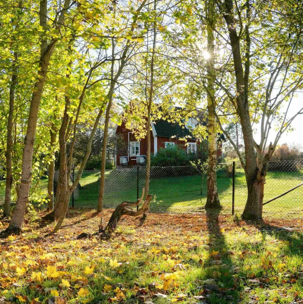Villastängsel 150cm högt | 25 meter | Komplett paket