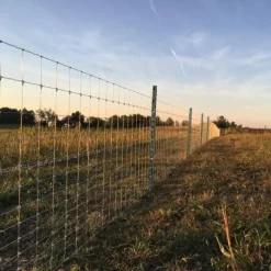 Viltstängsel | Komplett paket - 100 meter