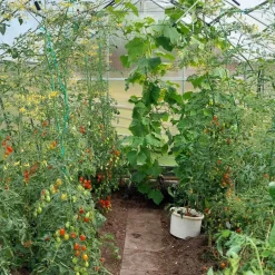 Växthus 12,4m² | Hög odlingshöjd | 6mm kanalplast