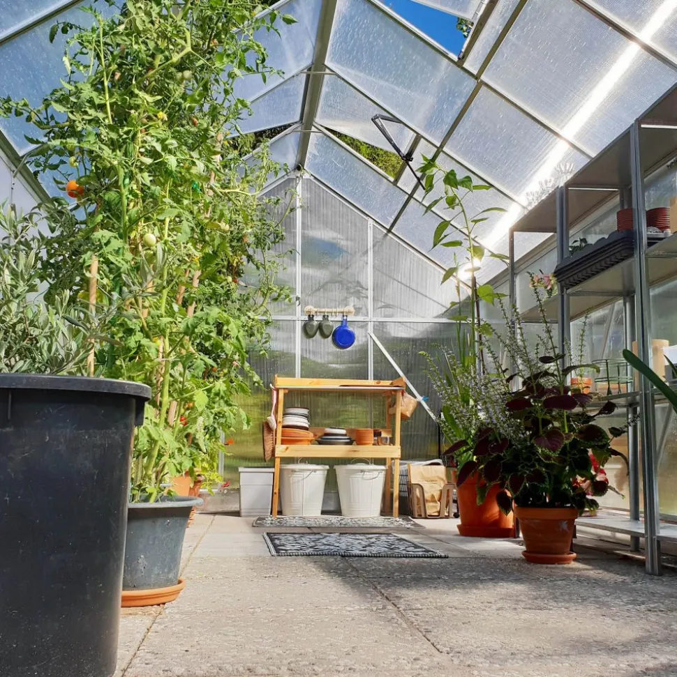 Växthus 12,4m² | Hög odlingshöjd | 6mm kanalplast