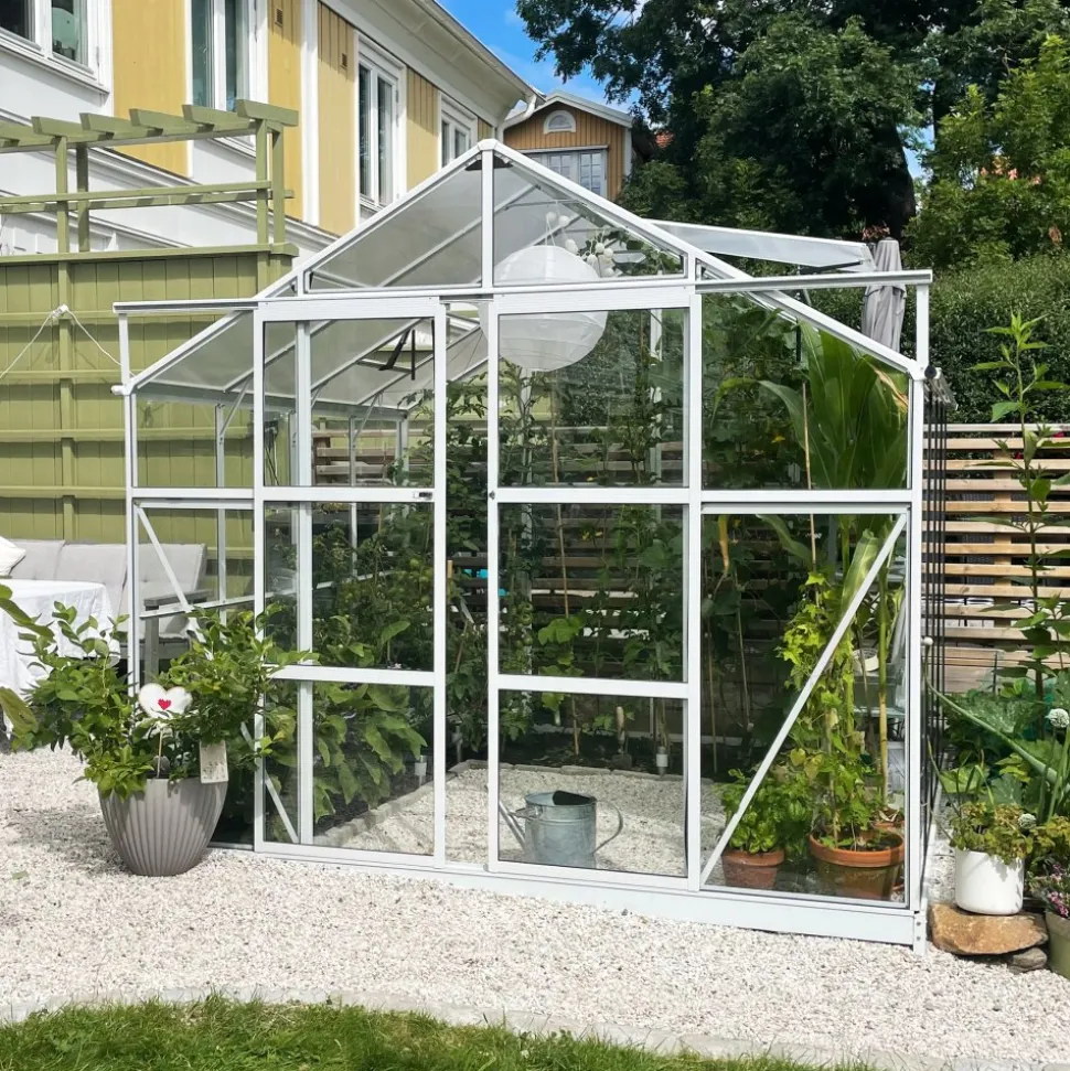Växthus 6,4 m² | 4 mm säkerhetsglas | 5 års stormgaranti