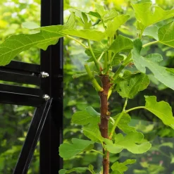 Växthus 6,4 m² | 4 mm säkerhetsglas | 5 års stormgaranti