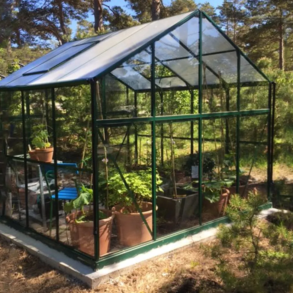 Växthus 6,4 m² | 4 mm säkerhetsglas | 5 års stormgaranti