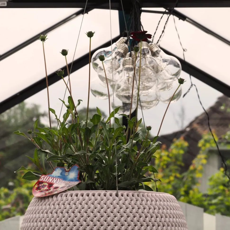 Växthus 6,4 m² | 4 mm säkerhetsglas | 5 års stormgaranti